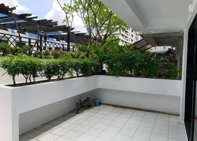 Spacious balcony with potted plants and urban views