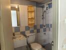 Compact bathroom with white and blue tile decor
