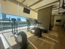 Modern in-house gym with exercise equipment and floor-to-ceiling windows