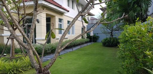 House for Rent, Sale at BAAN BARAMED