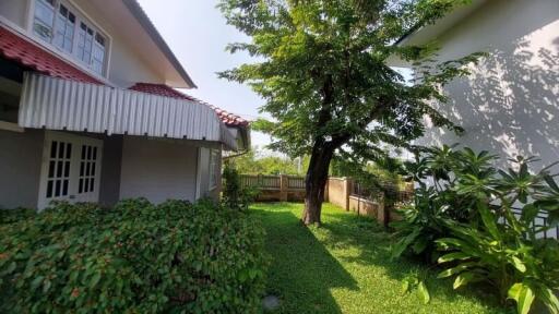 House for Rent in Nong Khwai, Hang Dong.