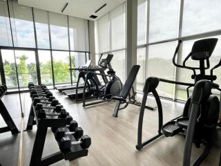 Modern home gym with large windows and exercise equipment