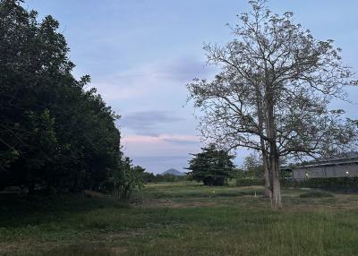 Rural landscape with trees and open grassy area at twilight