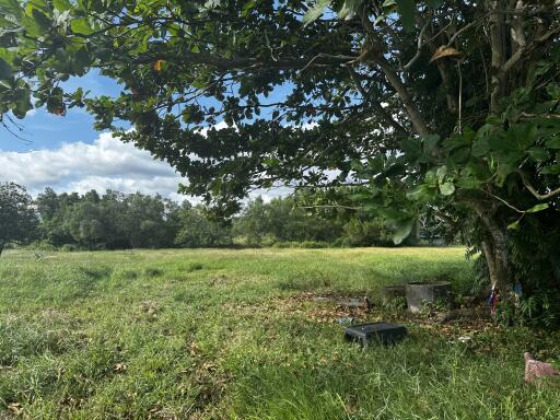 Prime Freehold Land for Long-Term Rent in Chalong, Mueang Phuket
