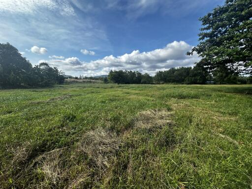 Spacious open field with blue sky and scattered clouds