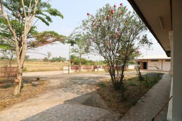 2 BRM, 2 BTH Home For Sale With Commercial Buildings, Office, Showroom, Workshop, Storage Area For Sale Nong Bua Lam Phu Province, Thailand