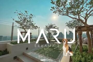 Condo for Rent at MARU Ekkamai 2