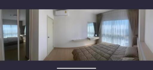 1 Bedroom Condo