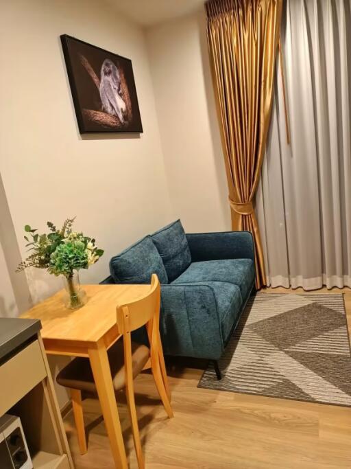 1 Bedroom Condo