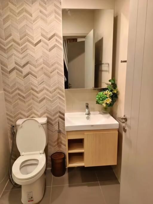 1 Bedroom Condo