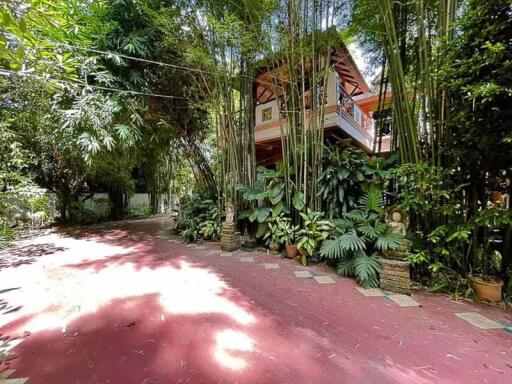 House for Rent in Chang Phueak, Mueang Chiang Mai.
