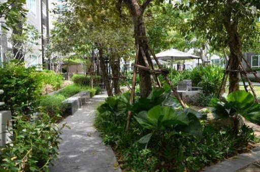 Lush green outdoor communal space with walking path in a residential property