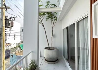 3 Bedroom House  for Rent in San Phi Suea