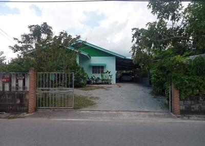 Single story residential home with a green facade and driveway