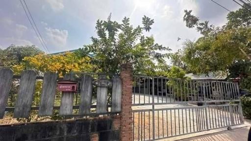 Entry gate and fencing of a residential property with greenery