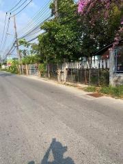 Street view of a property with a fence and blooming tree