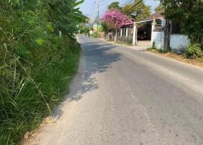 Paved street with foliage and power lines in a residential area