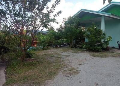 Front yard of a family home with greenery and a spacious driveway