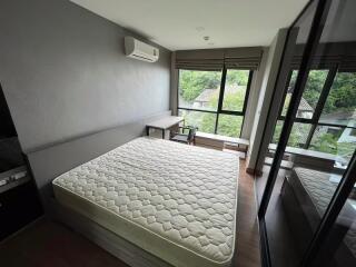 Condo for Rent at Tree Condo Sukhumvit 50