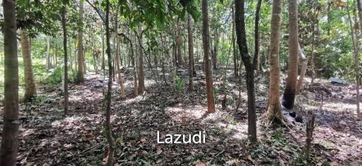 Tranquil Oasis: Riverside 2280 Sqm Plot Divided into Four Parcels in Haad Salad, Koh Phangan - Sale Includes Thai Company for Seamless Acquisition