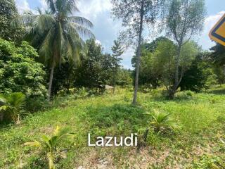 Tranquil Oasis: Riverside 2280 Sqm Plot Divided into Four Parcels in Haad Salad, Koh Phangan - Sale Includes Thai Company for Seamless Acquisition