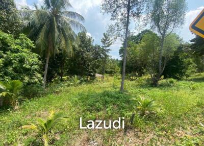 Tranquil Oasis: Riverside 2280 Sqm Plot Divided into Four Parcels in Haad Salad, Koh Phangan - Sale Includes Thai Company for Seamless Acquisition