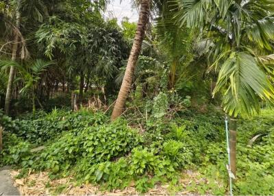 Land Exclusive Opportunity to Build Your Dream House or Villa in Samui