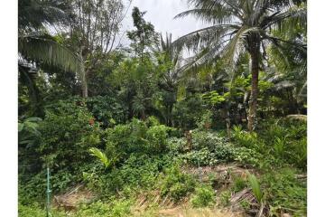 Land Exclusive Opportunity to Build Your Dream House or Villa in Samui - 920121001-2011