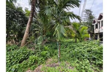 Land Exclusive Opportunity to Build Your Dream House or Villa in Samui