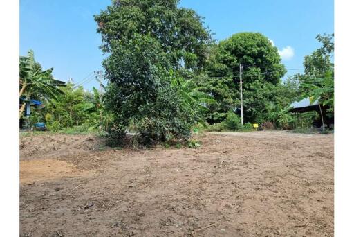 Big  Land  1,600 Sq.m Middle Of Samui  For Sale