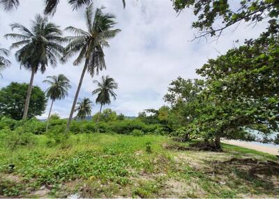 Beachfront Land for Sale in Koh Samui - 920121018-172
