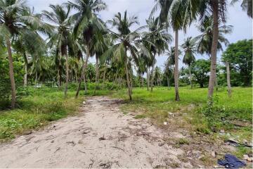 Beachfront Land for Sale in Koh Samui - 920121018-172