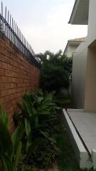 Exterior side yard with landscaping and brick wall