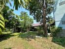 Cozy house with lush garden and carport under sunny blue skies