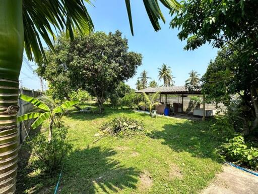 Spacious backyard with lush greenery and a small structure in the background