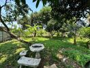 Peaceful garden with greenery and a stone bench