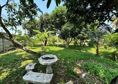 Peaceful garden with greenery and a stone bench