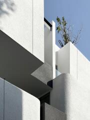 Modern architectural detail of a minimalist building with visible foliage