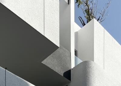 Modern architectural detail of a minimalist building with visible foliage