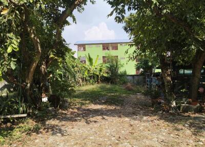 View of a house exterior from a garden entrance with surrounding greenery