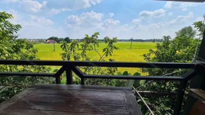 Explore Chiang Mai Real Estate ? Future Resort Property for Investment