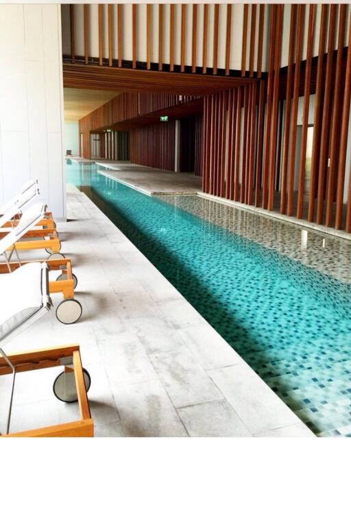 Modern indoor swimming pool with wooden slatted design and lounge chairs