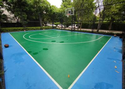 Outdoor basketball court surrounded by trees