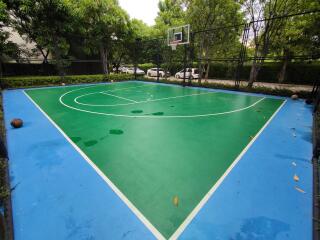 Outdoor basketball court surrounded by trees