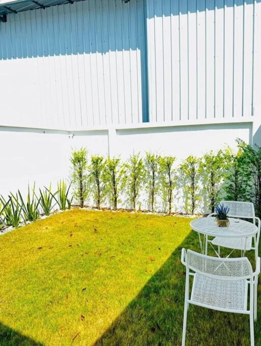 Bright and welcoming backyard with green lawn, modern white furniture, and a privacy hedge
