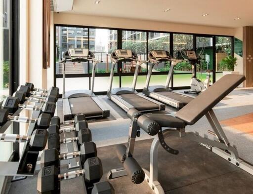 Modern gym with treadmills and weights overlooking a garden