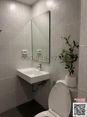 Modern bathroom interior with tiled walls, a white sink, and a green plant decoration