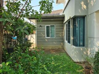 House for Sale, Rent at Nong Chom, San Sai.