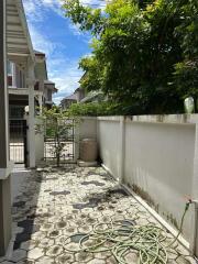 House for Sale, Rent at Ton Pao, San Kamphaeng.