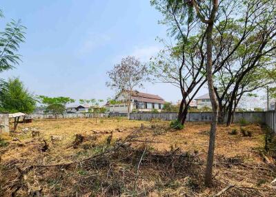 1.5 Rai Plot Of Land For Rent In Tha Sala Chiang Mai